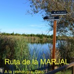 Ruta Marjal